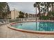 Close-up view of community pool surrounded by tropical landscaping at 3814 N Lake Dr # 65, Tampa, FL 33614