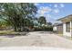 Backyard concrete pad featuring mature trees, a fence line and a white storage shed on the right of the frame at 3818 Grove S St, St Petersburg, FL 33705