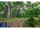 Lush backyard with a large shade tree, dense green foliage, and a tranquil atmosphere at 4411 W Bay Villa Ave, Tampa, FL 33611