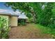 Backyard view featuring a large tree and foliage at 4411 W Bay Villa Ave, Tampa, FL 33611