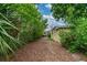 Leafy driveway leading to the property at 4411 W Bay Villa Ave, Tampa, FL 33611