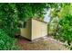 Backyard shed surrounded by foliage with a window and door at 4411 W Bay Villa Ave, Tampa, FL 33611