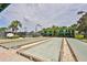 Beautiful Bocce Ball Courts lined with palm trees and covered benches on a sunny day at 4830 Grand Banks Dr, Wimauma, FL 33598