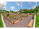 This community garden features multiple raised garden beds for residents to grow their own plants and vegetables in a shared space at 4830 Grand Banks Dr, Wimauma, FL 33598