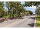 Gated community entrance lined with palm trees and mature trees along the side of the road at 6334 Spring Flower Dr # 24, New Port Richey, FL 34653