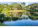 Scenic pond reflecting lush greenery and palm trees on a sunny day in Round Lake Park at 634 6Th N St, St Petersburg, FL 33701