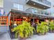 Outdoor restaurant patio with lush tropical plants enhancing the dining experience at 634 6Th N St, St Petersburg, FL 33701