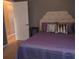 Comfortable bedroom featuring purple bedding and a plush, cushioned headboard for a relaxing retreat at 6615 W Vanda Ln, Land O Lakes, FL 34637