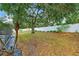 Spacious backyard with mature trees, palm trees, and a white privacy fence at 6724 Clair Shore Dr, Apollo Beach, FL 33572
