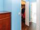 A closet featuring clothing and shoe shelves, with a cherry-wood dresser outside the closet at 14027 Bensbrook Dr, Spring Hill, FL 34609