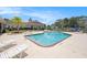 Fantastic swimming pool, surrounded by lounge chairs, with lush landscaping and a playground in the background at 14181 Cornewall Ln, Spring Hill, FL 34609