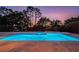 Twilight shot of a stunning in-ground pool with a hot tub and landscaped backyard at 14806 Harry Colt Ct, Tampa, FL 33626