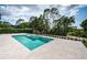Gorgeous view of a crystal-clear in-ground pool with tiled surround and lush backyard at 14806 Harry Colt Ct, Tampa, FL 33626