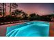 Inviting swimming pool and spa nestled among lush greenery and bathed in the warm hues of the setting sun at 14806 Harry Colt Ct, Tampa, FL 33626