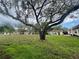 Landscape showing well-manicured lawn and the front of the property with big tree at 1510 Mission Hills Blvd # 19-F, Clearwater, FL 33759