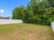 Spacious backyard with green grass and a full privacy fence at 18320 Snowdonia Dr, Land O Lakes, FL 34638