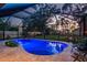 A gorgeous screened in pool and patio, with blue accent lighting and outdoor dining furniture in the backyard at 2048 Douglas Ave, Dunedin, FL 34698