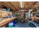Interior view of a messy shed with shelves and a workbench, showcasing storage and workspace at 2048 Douglas Ave, Dunedin, FL 34698