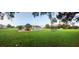 Expansive backyard features mature trees, trampoline, and covered back porch for outdoor enjoyment at 33516 Arthur Dr, Wesley Chapel, FL 33543