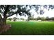 Expansive backyard featuring mature trees, a trampoline and green grass at 33516 Arthur Dr, Wesley Chapel, FL 33543
