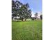 Expansive backyard with mature trees at 33516 Arthur Dr, Wesley Chapel, FL 33543