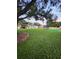 Spacious backyard with a trampoline, and lush green lawn at 33516 Arthur Dr, Wesley Chapel, FL 33543