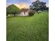 Exterior view of a charming home featuring a bright red door, mature trees and a well-manicured lawn at 33516 Arthur Dr, Wesley Chapel, FL 33543