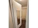 Spacious walk-in closet with shelves for ample storage; well-organized space at 33516 Arthur Dr, Wesley Chapel, FL 33543