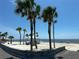 Scenic beach view with palm trees, picnic area, and waterfront access for a perfect beach lifestyle at 3654 Corsair Ct, New Port Richey, FL 34652