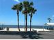 Beach with palm trees providing shade at 3654 Corsair Ct, New Port Richey, FL 34652