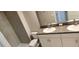 Bathroom features dual sinks, modern fixtures, and a shower at 4505 Globe Thistle Dr, Tampa, FL 33619