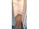 Walk-in closet offers shelving and carpeting at 4505 Globe Thistle Dr, Tampa, FL 33619