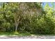 Lush, mature trees and manicured shrubs provide natural beauty and shade in this home's tranquil surroundings at 4508 Netherwood Dr, Tampa, FL 33624