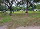 Expansive front yard featuring mature trees and views of the homes across the street at 5535 Peach Ave, Seffner, FL 33584