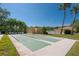 Recreational shuffleboard courts surrounded by palm trees and landscaping, perfect for outdoor activities at 8181 Eagles Park N Dr, St Petersburg, FL 33709