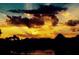 Golden sunset over the lush trees from the property at 8181 Eagles Park N Dr, St Petersburg, FL 33709