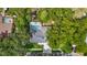 Aerial view of a home featuring a private pool and lush, mature landscaping at 1014 Sylvia Ln, Tampa, FL 33613