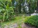 Lush backyard features tropical plants, green grass, and a chain-link fence, creating a serene outdoor space at 1014 Sylvia Ln, Tampa, FL 33613
