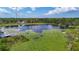 Scenic view of a tranquil pond covered with lush lily pads under a bright, cloudy sky at 1014 Sylvia Ln, Tampa, FL 33613