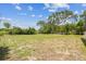 An expansive backyard offers endless possibilities for recreation and relaxation at 10306 Shalimar Wood Dr, Thonotosassa, FL 33592
