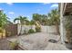 Gravel driveway and backyard area featuring mature palm trees and white fence at 1211 14Th N St, St Petersburg, FL 33705