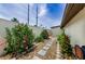 Picturesque backyard showcasing a stone walkway, vibrant landscaping, and a tranquil privacy wall at 13544 Avista Dr, Tampa, FL 33624