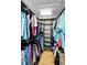 Spacious walk-in closet with well-organized storage and hanging racks at 13544 Avista Dr, Tampa, FL 33624