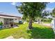Spacious backyard featuring a large tree, lush lawn, and a patio with outdoor seating at 1436 Santa Clara Dr, Dunedin, FL 34698