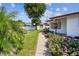 Charming home featuring a well-maintained lawn and lush landscaping with beautiful blooming flowers along the walkway at 1436 Santa Clara Dr, Dunedin, FL 34698