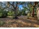Secluded backyard, featuring mature trees, leafy ground cover, and a cozy deck with outdoor seating at 1753 San Mateo Dr, Dunedin, FL 34698