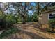 Leafy backyard featuring ample ground cover, mature trees, and a secluded seating area at 1753 San Mateo Dr, Dunedin, FL 34698