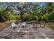 Tranquil backyard with a deck, surrounded by mature trees, leafy ground cover, and secure fencing at 1753 San Mateo Dr, Dunedin, FL 34698