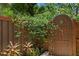 Wooden gate and climbing foliage to the landscaped backyard at 1805 W Jetton Ave, Tampa, FL 33606