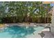 Backyard pool featuring stone trim, integrated waterfall feature, and mature landscaping at 1805 W Jetton Ave, Tampa, FL 33606